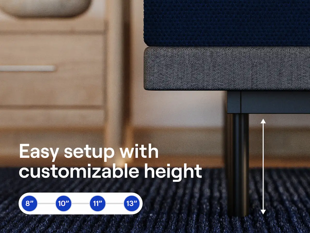 Nectar Adjustable bundle
