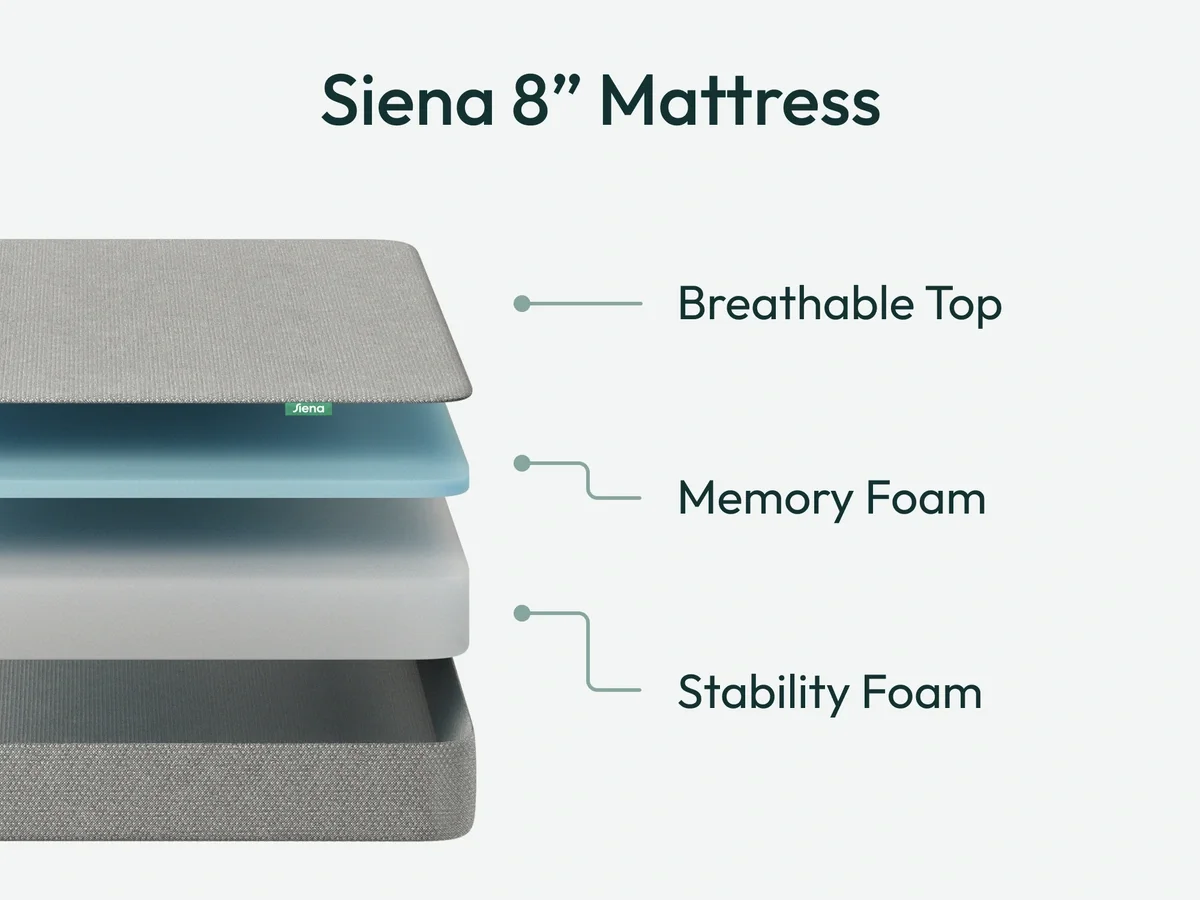 Siena Foundation Bundle